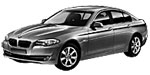 BMW F10 B220A Fault Code